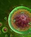 Forskere fra Aarhus har opnået positive resultater ved kliniske hiv-forsøg.