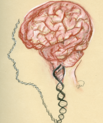 Illustration by Catherine Williams
