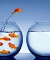 Flipped classroom, peer instruction og blended learning er nye digitale undervisningsmetoder, som skal gøre undervisning både smartere og sjovere.
