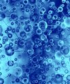 Nyt studie i Nature –tidsskriftet Scientific Data skaber et samlet overblik over, hvordan titusindvis af gener spiller sammen i forbindelse med musklernes adfærd.