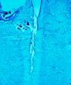 Figure from Sâmia Joca's paper