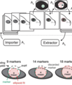 Figure 1 from new publication.
